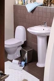 Sanita Унитаз-компакт Виктория комфорт 425425 – фотография-3